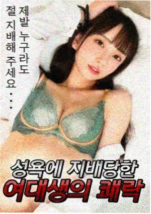 春季档编成观察配图